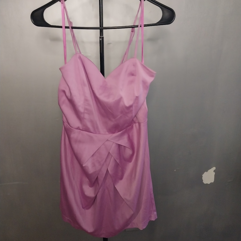 This is a Blush pink Alyn Paige New York dress.